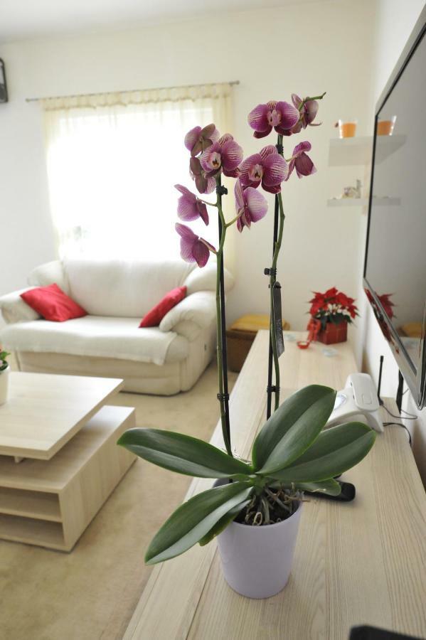 Vlatka Apartman Split Exterior foto